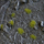 Tufa bari për modelizma Gamers Grass Special Tufts Tiny, 2 mm, dry green