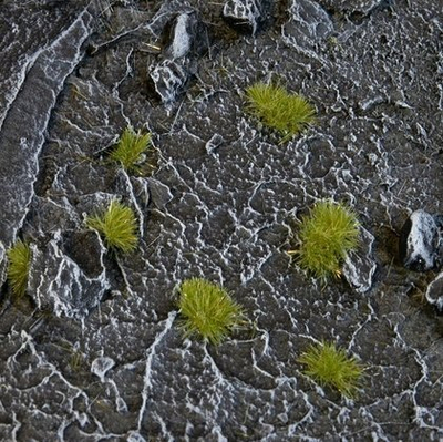 Tufa bari për modelizma Gamers Grass Special Tufts Tiny, 2 mm, dry green