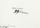 Nedko Solakov 99 Fears - Suzaan Boettger