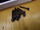 Radiator ftohës për PC XSPC TX240, bakër, 240mm, i zi