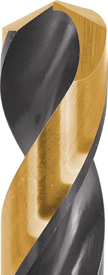 Set stërvitësesh metali Tvardy TO2040, HSS 4mm, 10 copë, zezë ari
