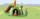 Set lodrash Playmobil 1.2.3 Disney Winnie &amp; Tigger Bee Garden, 10 copë, për kalamaj 1-4 vjeç, shumëngjyrësh