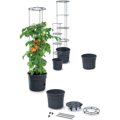 Vazo për domate Prosperplast Grower Grande, plastike, me mbështetje, ngjyrë antracit