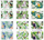 Set fletore Promised Land Flow Grid A5, 96 fletë, me katrorë, 10 copë