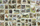 Puzzle Ravensburger Animal Stamps, 3000 pjesë, 121 x 80 cm, shumëngjyrësh