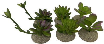 Dekor akuariumi Terra Della Succulent, bimë artificiale, bazë rrëshire, jeshile vjollcë