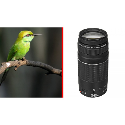 Lente Canon EF 75-300mm f/4-5.6 III