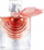 Eau de Parfum Lancôme La Vie Est Belle Iris Absolu, 30ml