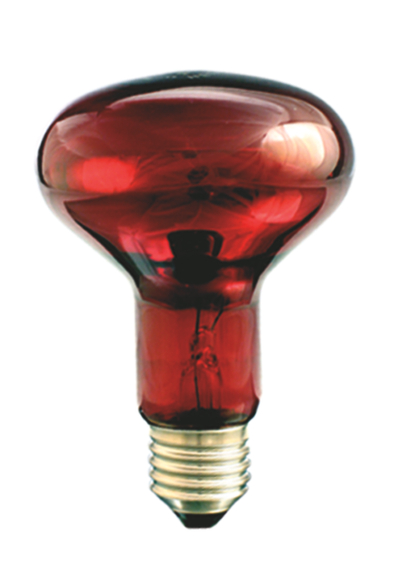 Llambë infra të kuqe Helios Infrared R80, 100W, E27, e kuqe