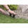Palisadë kopshti Prosperplast Flat Stone, 12cm, 3.8m, gri