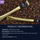 Kafe Gold Instant Mesh Stick 32gr