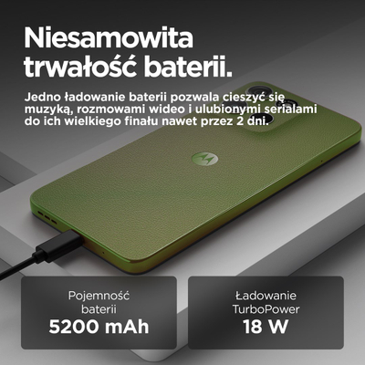 Kartelë ngjyrash Glidden Iguana Green, mostrë boje, e gjelbër