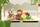 Nici Loder E Bute 20Cm Orangutani 49816
