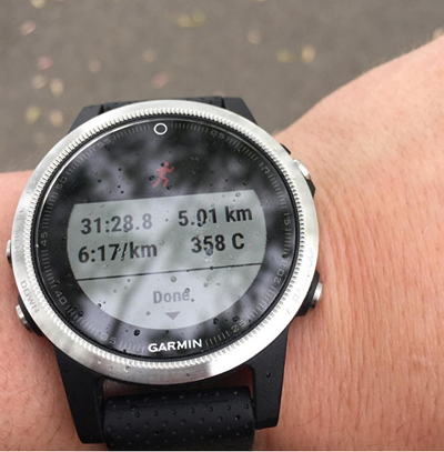 Orë dore Garmin Fenix 5S