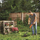 Prerëse bari Black + Decker [STC1840EPC] 30cm, 18V Li-Ion, 1x4,0Ah