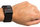 Sensor rrahjesh zemre Bion HR Tracker, ANT+ dhe Bluetooth 4.0, rrip tekstili, i zi