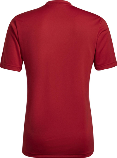 Bluzë sportive adidas Entrada 22 Graphic Jersey M HB0572, poliester i riciklume, teknologji AEROREADY, shumëngjyrëshe