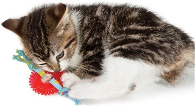 Играчка за мачиња Petstages Kittens Chew Ring PS715, прстен за грицкање, шарен
