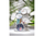 Orë dore Morellato Ninfa R0151141523