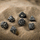 Set zare Q-Workshop Dracopolis Scandinavian Blackfang, 7 copë, të zi me argjend