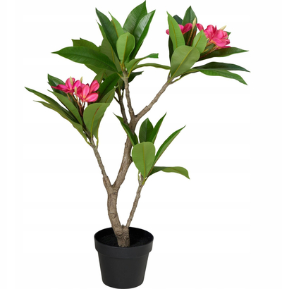 Pemë artificiale KAEMINGK Frangipani, 50 x 90 cm, me vazo, jeshile
