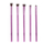 Set i brushave Glov Make Up