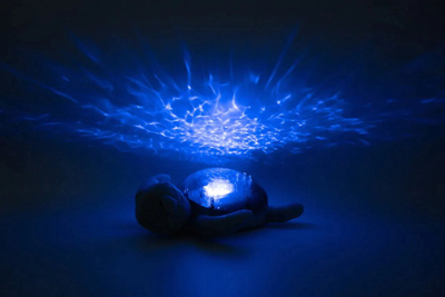 Dritë nate pelush Cloud B Tranquil Turtle Ocean, projektim valësh oqeani, tinguj qetësues, blu