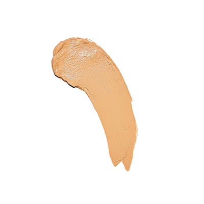 Revolution Fast Base Stick Foundation F8