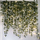 Garlandë artificiale dredhke me LED Decor 24538, 50 drita LED, jeshile
