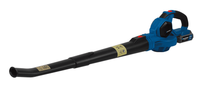 Fryrëse Gjethesh BLAUPUNKT CB2010