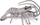 Figurinë lodër PAPO Marine Life Shrimp, PVC, shumëngjyrëshe