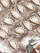 Puzzle Nadwyraz.com I Love Pierogi, 500 copa, shumëngjyrësh