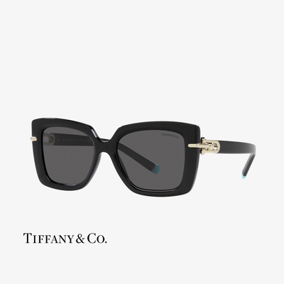 Tiffany & Co. TF4199 8001S4 53