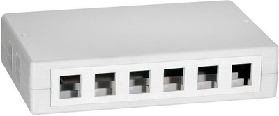 Kuti Keystone LogiLink 12-Port UTP, e bardhë