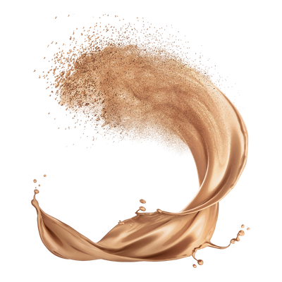 Pudër L'oreal Paris Infaillible 24H, 245, 9g