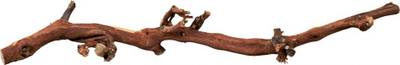 Trixie Grape Vine Декорација за Терариум, 40-60 cm