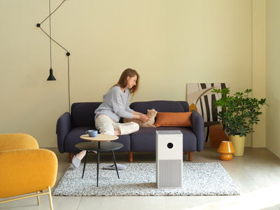 Pastrues ajri Xiaomi Smart 4 Lite 2 m2 61 dB, 33 W, i bardhë