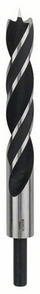 Spiralë për dru Bosch Lip Spur, 20 mm, metalike