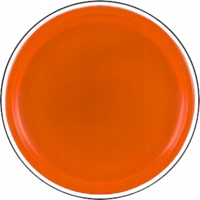 Disk fluturues LEAN Toys 20373, 20 cm, portokalli
