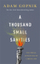 Thousand Small Sanities - Adam Gopnik