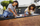 Set loje fingerboard Hot Wheels Tony Hawk, me këpucë plastike, shumëngjyrësh