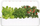 Kopsht inteligjent Click and Grow Smart Garden 9 Pro, me dritë LED, ujitje automatike, i bardhë