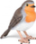 Figurë lodër PAPO Wild Animal Kingdom Robin, PVC, shumëngjyrëshe