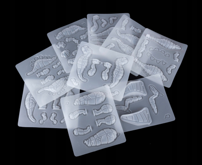 Set forma plastike 3D Dinosaur World, 9 copa, transparente