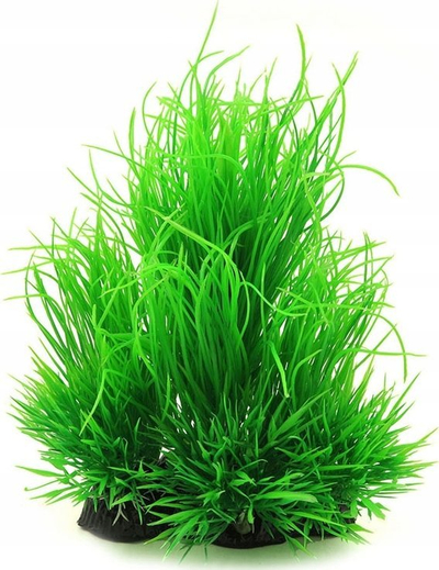 Bimë fallco për akuarium Aqua Nova NP-21_6015-R, 21 cm, e gjelbër