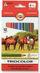 Set lapsash pastel trekëndorë Koh-i-noor TRIOCOLOR, 12 copë, shumëngjyrësh