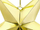 Stoli dekorativ Shoppartners Christmas Star, formë ylli fener, 70 cm, i artë