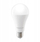 Llambë LED Forever Light E27 A65, 17W, 2100 lm, dritë e ftohtë 6000K