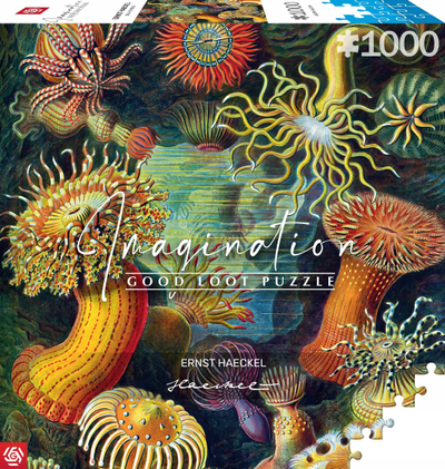 Пазл Ernst Haeckel Sea Creatures, 1000 делови, многубоен