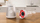 Blender Bosch MMB2111T, 0.8 L, i argjendtë